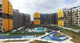 مشروع فيروزة افجلار