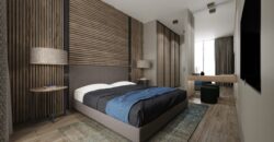 مشروع ميدان تقسيم في بليك دوزو